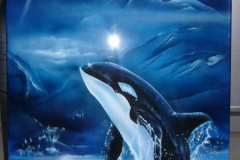 Orca_final_lack2