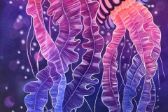 Jellyfishes