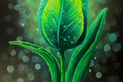 Tulip
